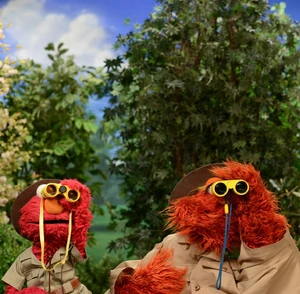 ElmoMurray-binoculars