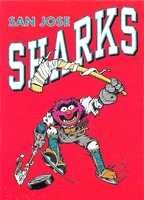 #46. San Jose Sharks