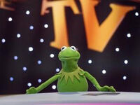 TF1-MuppetsTV-PhotoGallery-11-Kermit