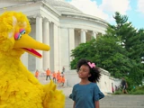 Big Bird's Road Trip