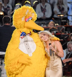 NatashaBedingfieldandbigbird