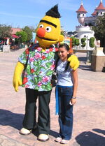 Parque-plaza-sesamo-bert.jpg (258 KB)