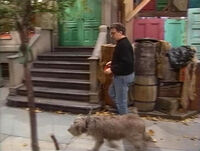 Lou Bergerman walking dog Sesame Street Episode 3339