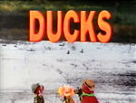 DUCKS: Verne, Telly, and Zoe