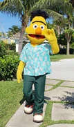 Bertbeaches.jpg (474 KB) Bert at Beaches Resorts