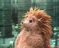 EspineteBarrioSesamoIntro.jpg (69 KB)