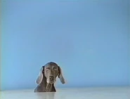 (First: Episode 3034)