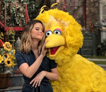 Maren Morris Muppet Wiki Fandom