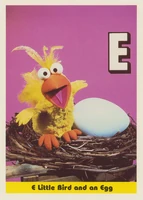 25: E Little Bird and an Egg