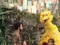 only Big Bird can reach the volleyball that gets stuck on the arbor in Episode 0251