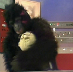 Gorillabunsen
