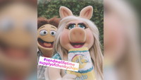 MuppetsNow-S01E01-InstaPig