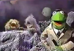 Reporter Kermit GMA Earth Day