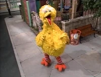 "Big Bird Doesn't Fly"