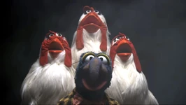 Bohemianrhapsodygonzo.jpg (204 KB) Gonzo and chickens Clockwise from top: Stephanie, Ethel, Gonzo, and Camilla