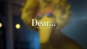 Dear Big Bird