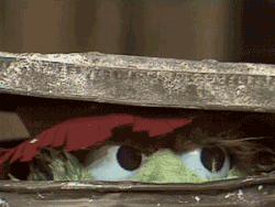 Oscar pupils 0603.gif