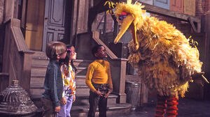 SesameStreet-EarlyBigBird