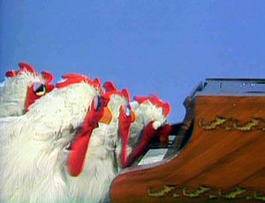 Chopsticks.chickens.jpg
