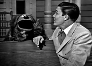 Dean-123c.jpg (282 KB)