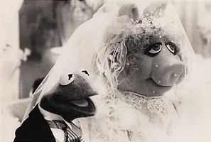 A photo from Kermit and Piggy's Manhattan Melodies wedding.
