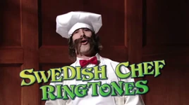Snl-Chef.jpg (466 KB) Andy Samberg as the Swedish Chef on SNL