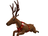 Reindeer