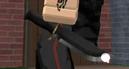 How it looks like in-game