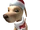 Santa Dog