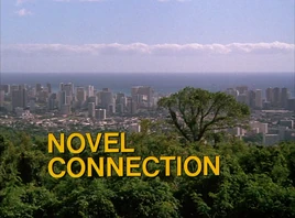 Novel Connection title