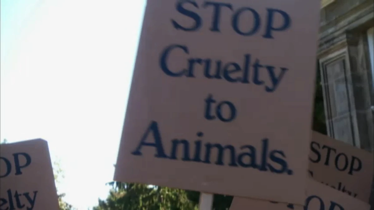 Toronto Humane Society Murdoch Mysteries Wiki Fandom