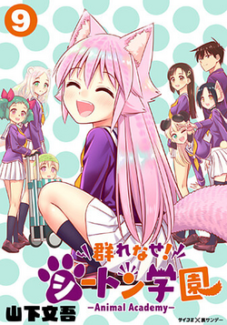 Volume 9