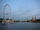 London Eye and Houses of Parliament.JPG