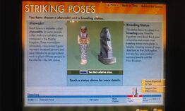 Striking Poses