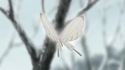 Usobuki