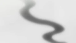 Kagedama