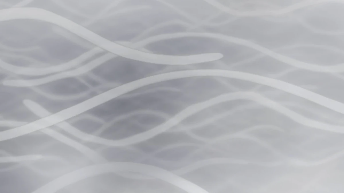 Umisen Yamasen Mushishi Wiki Fandom