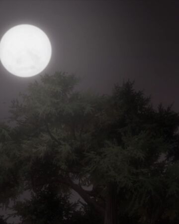 Tree Of Eternity Season 2 Episode 20 Mushishi Wiki Fandom Animes tv will always be the first to have the episode so please bookmark and add us on facebook for update!!! tree of eternity season 2 episode 20