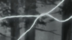Nise-Kazura