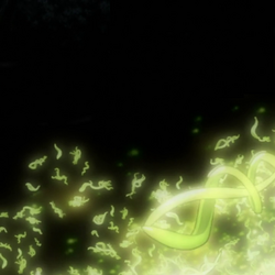 Category Mushi Species Mushishi Wiki Fandom Category Mushi Species Mushishi Wiki Fandom