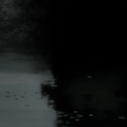 Category Mushi Species Mushishi Wiki Fandom Category Mushi Species Mushishi Wiki Fandom