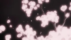 Kodama