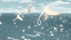 Yadokaridori