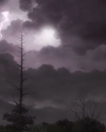 Featured image of post Mushishi Ending