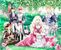 Bibliophile Princess (light novel)