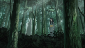 Mizukagami