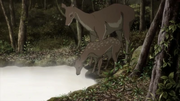 Chishio-mushishi