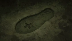 Geese leaving markers on his footprint for his party to follow