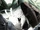 0B1EF0DB-4536-4682-B672-678E8B7AB347.jpg