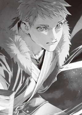 Light Novel